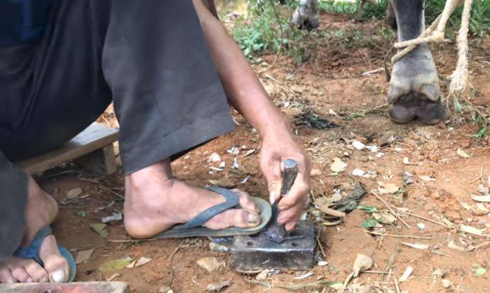 Anvil for shoeing.jpg