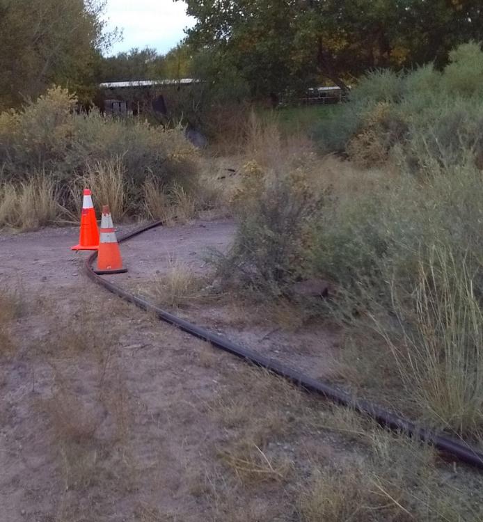 cones.thumb.jpg.bd75b07ac980413216ef83bd7e43e841.jpg