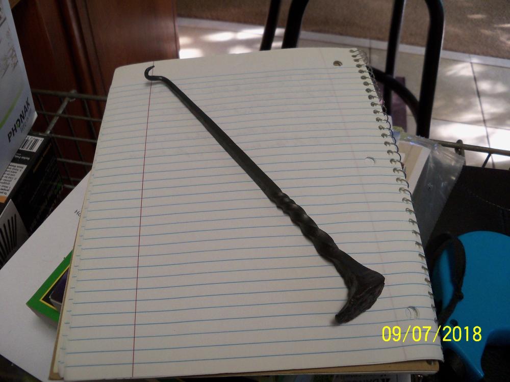 100_1984.thumb.JPG.2d4323b6de5bb6a34d2f6e25509d5043.JPG