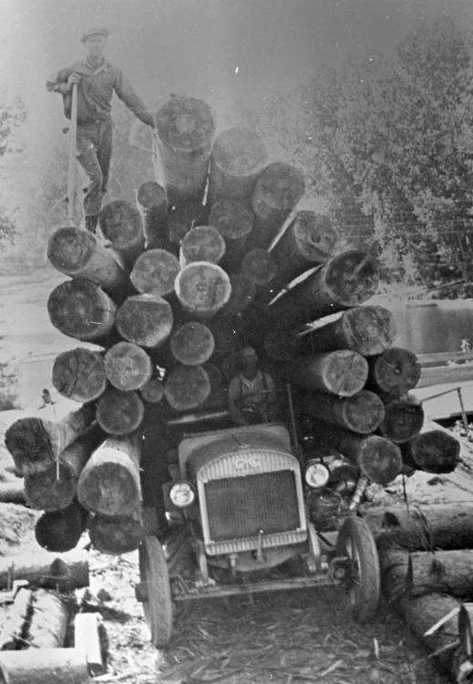 early-1920s-gmc-logging-truck-whuge-load-of-small-logs-oregon2.thumb.jpg.1b3f3a25b528e37daff506286c19360a.jpg