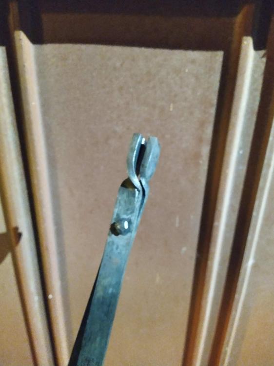 received_446809700734224.jpeg