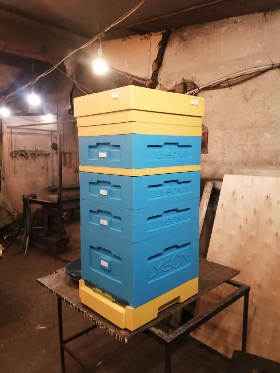 IMG_20221201_135242.jpg