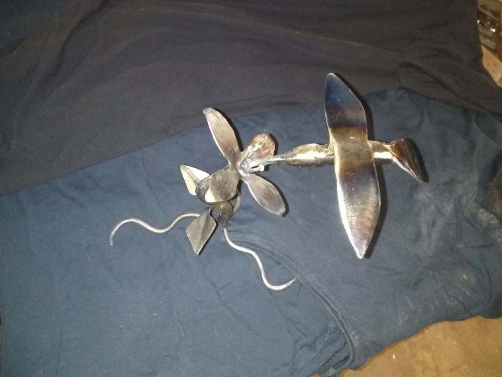 hummingbird5.jpg