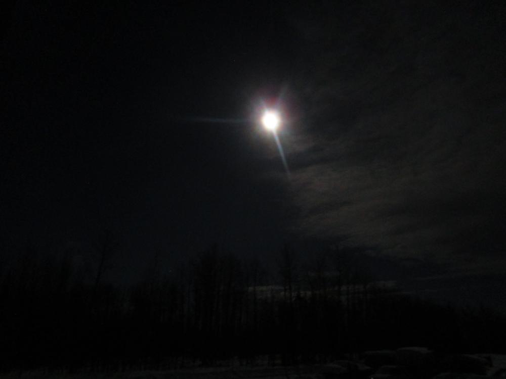 IMG_0078.thumb.JPG.e4a519dc7f24e5389f5574fef5e0bd9c.JPG