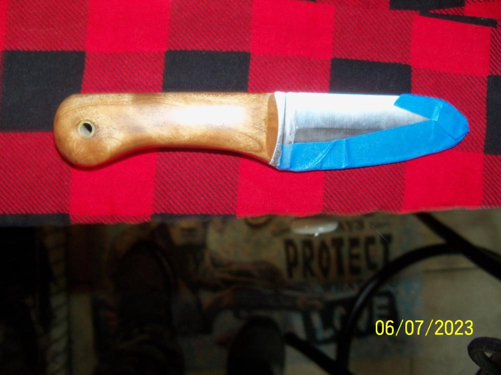 100_2338.thumb.JPG.5ec86bd2c142331b632c6c471e7e25cc.JPG