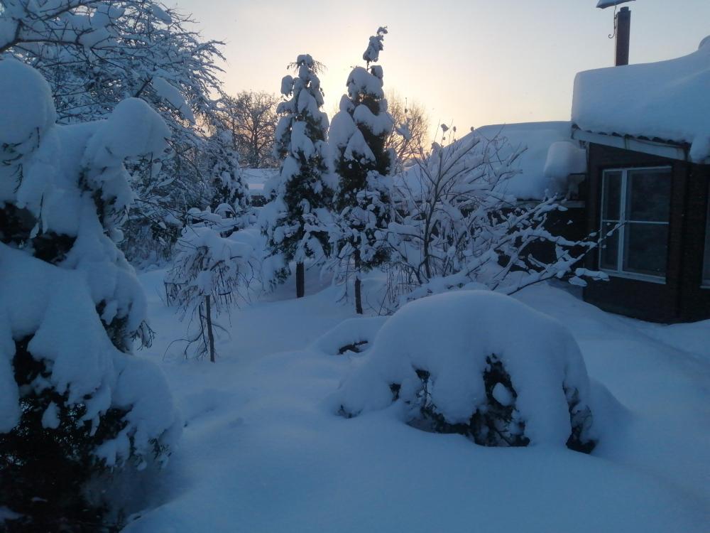 IMG-20231231-WA0001.jpeg