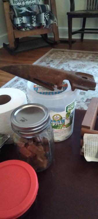 c1_20240131_14264187.jpeg