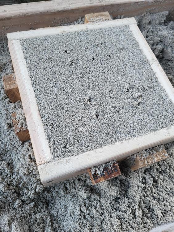 Test cast 2.jpg