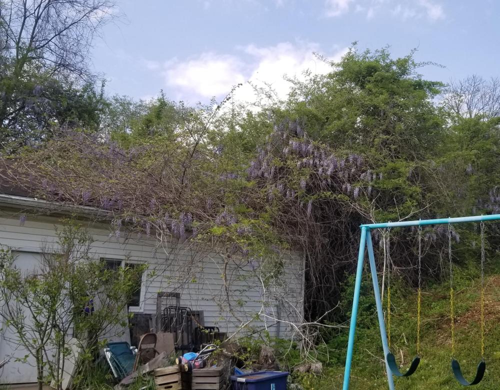 20240428_170843.thumb.jpg.ba833e8ddf61df63f78350a22d4f7ffd.jpg