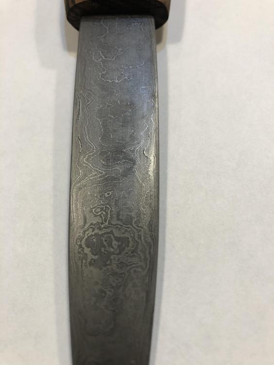 OYSTER KNIFE 2.jpeg