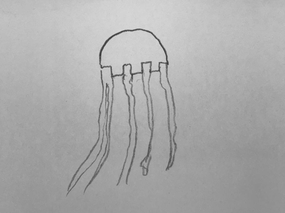 IMG_1063.thumb.jpeg.e8802a2d21696ec269b9a311652cc3b3.jpeg