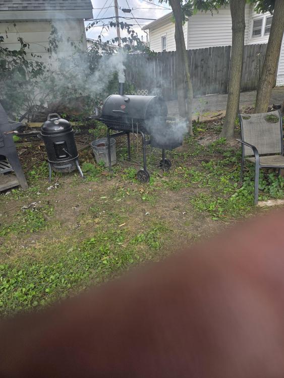 20250726_141847.thumb.jpg.8acf124e422b104dd22cebb225464ef1.jpg